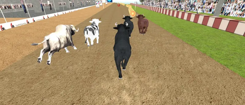 Angry Bull Racing