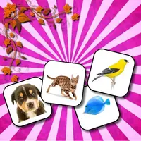 Animals Memory - Juego de Memoria para Niños Gratis en HTML5