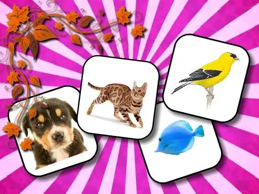 Animals Memory - Kostenloses Tier-Memory Spiel online spielen