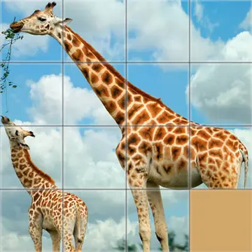 Animals Slide Puzzle - Jogo de Quebra-Cabeça Clássico Online Grátis
