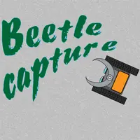 Beetle Capture - Eğlenceli Oyunlar ve Çocuklar İçin Oyna