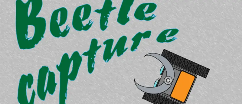 Beetle Capture - Jeu Casual en Ligne Gratuit
