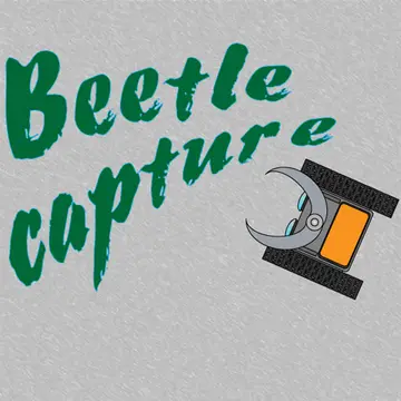 Beetle Capture – Kostenloses Online Spiel zum Spielen