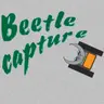 Beetle Capture – Kostenloses Online Spiel zum Spielen