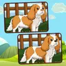 Dogs Spot The Differences