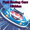 Fast Racing Cars Hidden