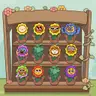 Flower Collection