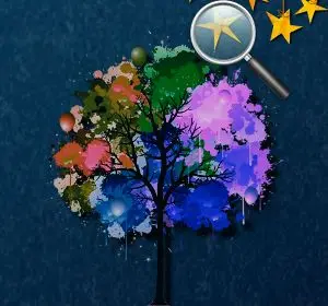 Forest Hidden Stars kostenlos spielen – Hidden Object Spiel