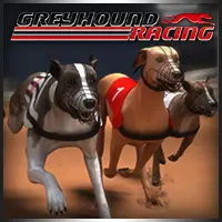 Greyhound Racing Online Spielen – Hundrennen Spiel für Echtgeld
