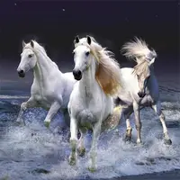 Horses Slide لعبة تركيب صور الحصان مجاناً أونلاين