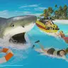 LA Shark