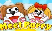 Meet Puppy - かわいい子犬の出会いゲーム｜無料で遊べるカジュアルゲーム
