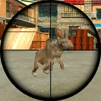 Rabbit Shooter - Ücretsiz Tavşan Avı Oyunu Oyna