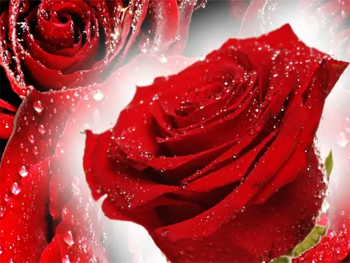 Red Roses Puzzle - Jogo de Quebra-Cabeça Online Grátis