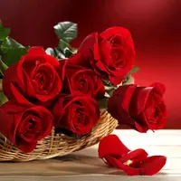 Red Roses Puzzle - Ücretsiz Jigsaw Bulmaca Oyunu
