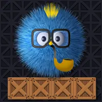 Where is my ruffled bird - Jogo Casual online grátis para jogar