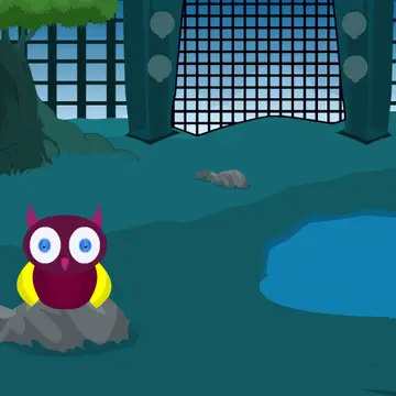 Wildlife Park Escape - Macera ve Bulmaca Oyunu Oyna