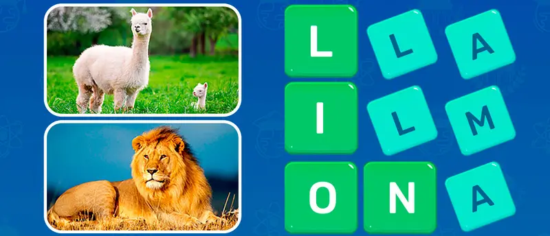 Word Search - Fun Puzzle Games