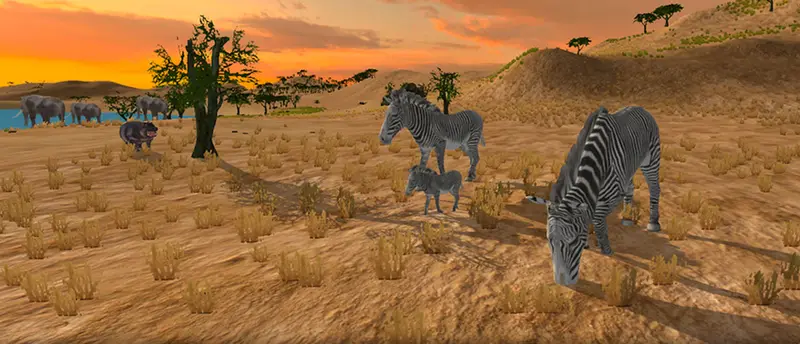 ZEBRA HUNTER