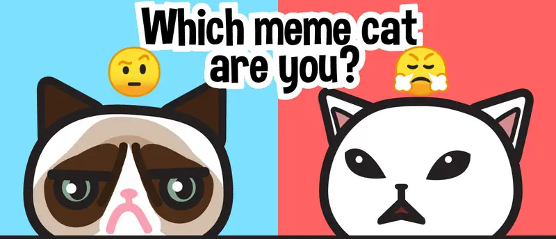 لعب لعبة أي قط meme أنت؟ اختبار شخصي ممتع ومجاني