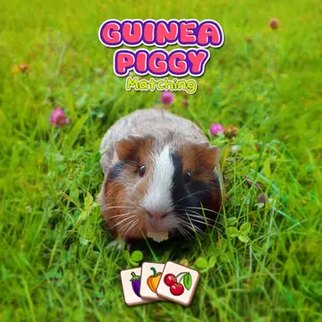 لعبة Guinea Piggy Matching - مطابقة الأرانب الصغيرة المجانية للعب أونلاين